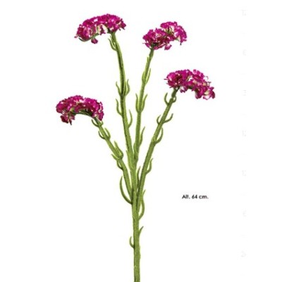 Statice 64cm 4fl fucsia