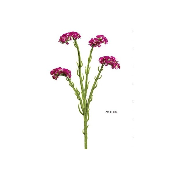 Statice 64cm 4fl fucsia