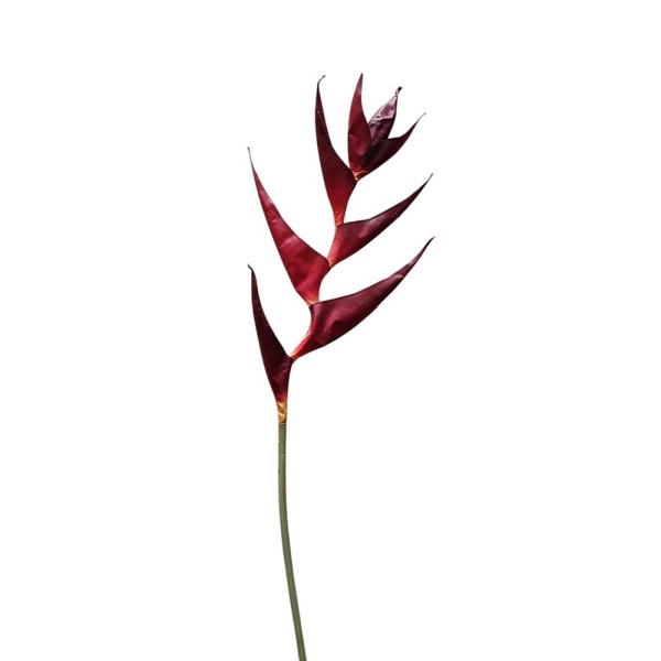 Heliconia  90cm burdeos