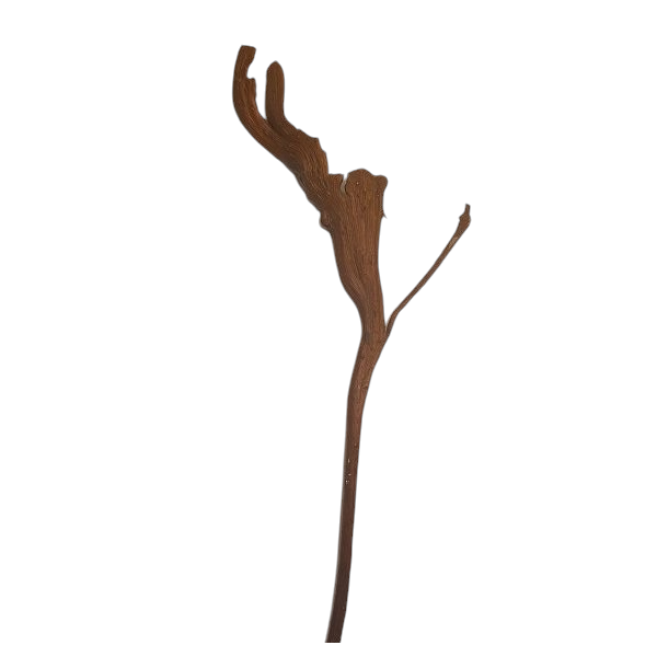 Vara salix marrón plástico x 47cm cuerno alce