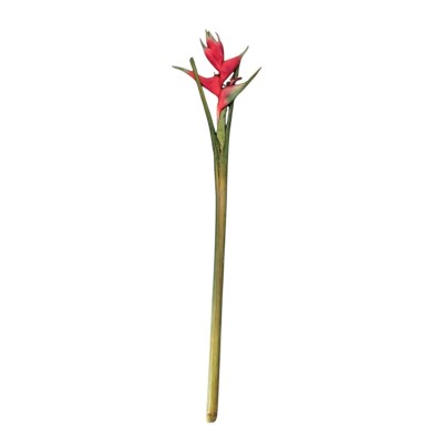 Heliconia roja supernatural 125cm