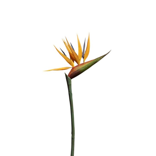 Strelitzia artificial 70cm