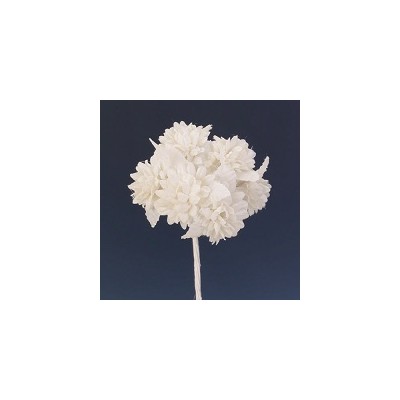 Pomito flor mini tela zinnia x 6 blanco