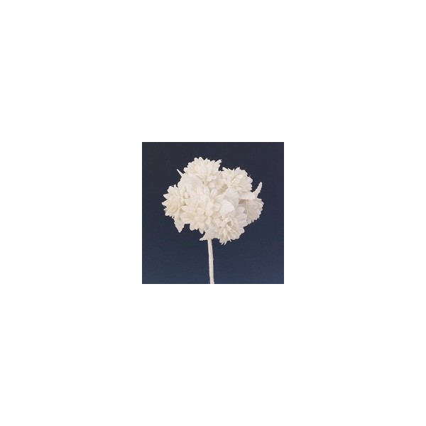 Pomito flor mini tela zinnia x 6 blanco