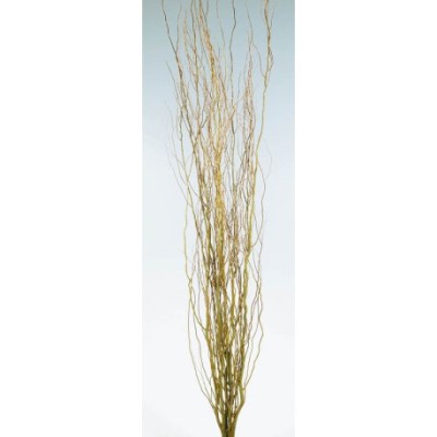 Salix natural 150-200cm12 pcs
