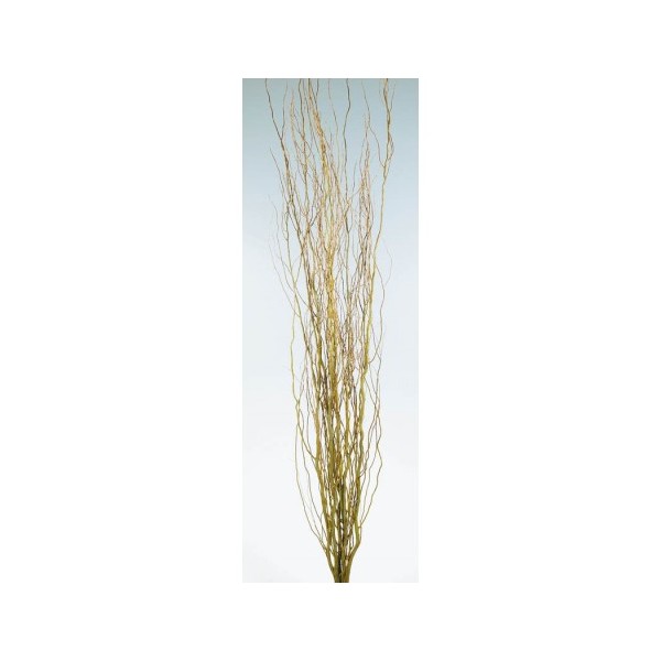 Salix natural 150-200cm12 pcs