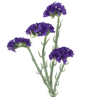 Statice 64cm 4fl morado