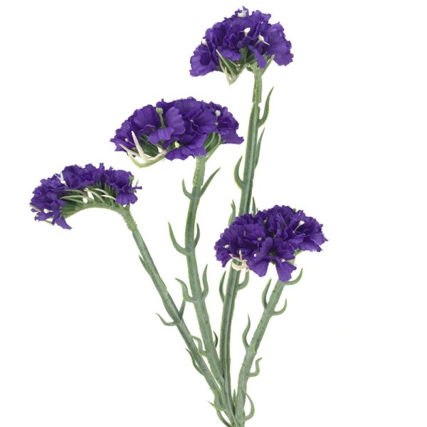 Statice 64cm 4fl morado
