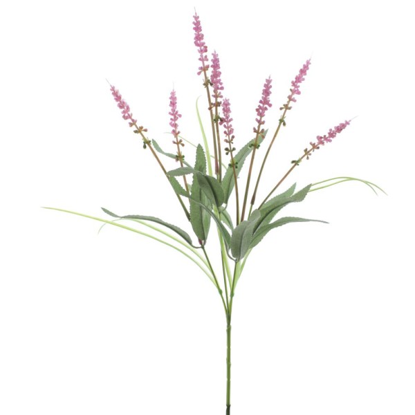 Lavanda mata 41cm fucsia