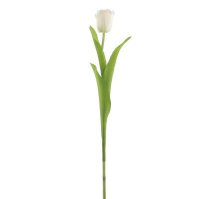 Tulipán 49cm crema