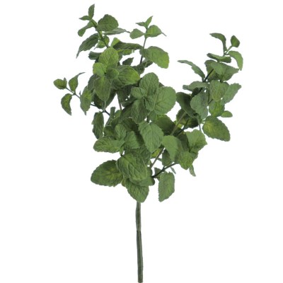 Mata menta 30cm