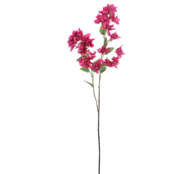 Buganvilla 105cm x 2 fucsia