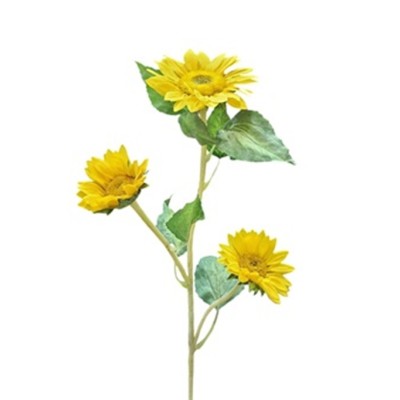 Girasol x 3 Alt.90cm