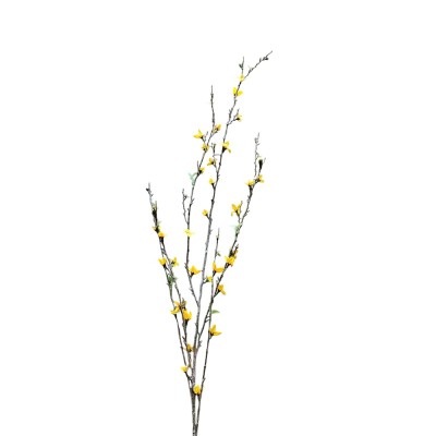 Forsethia x  6 fl Alt 110cm amarilla 