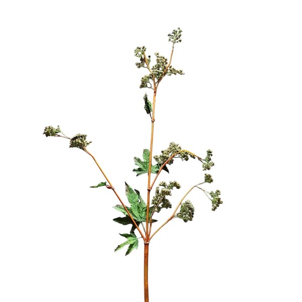 Viburnun verde fern x 120cm