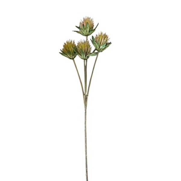 Cardo verde x 4 t x 60cm