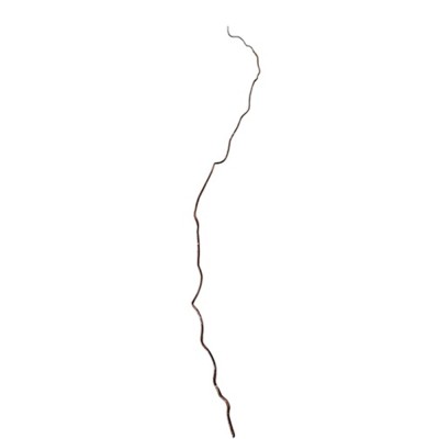 Vara salix 120cm sauce tortuoso marrón