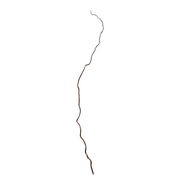 Vara salix 120cm sauce tortuoso marrón