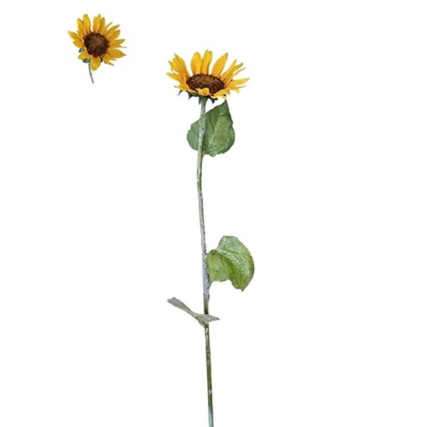 Girasol Alt. 70cm