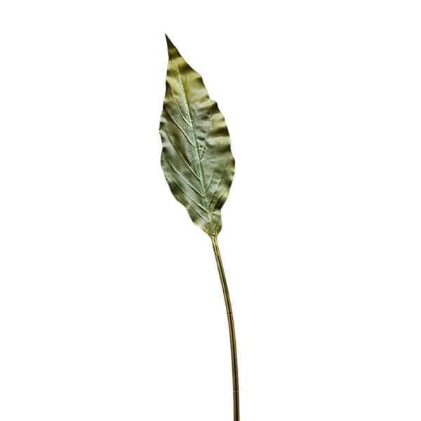 Hoja espatifilum 100cm