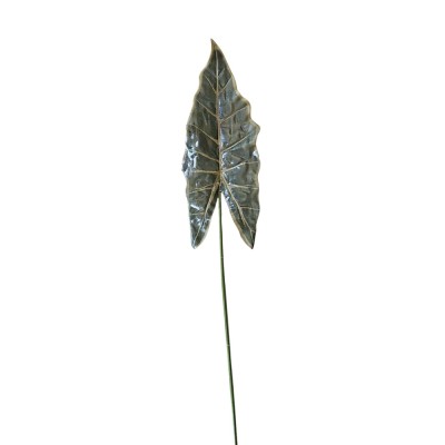 Hoja alocasia 75cm