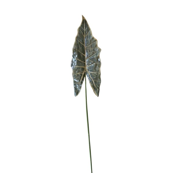 Hoja alocasia 75cm
