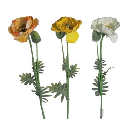 Amapola 1139 blanca
