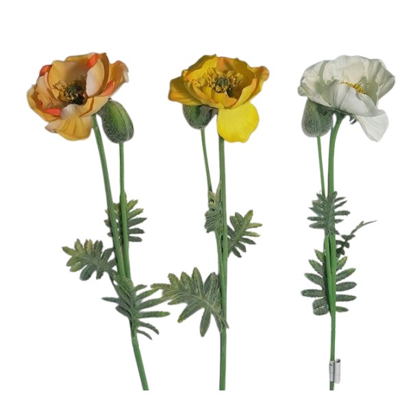 Amapola 1139 salmón