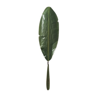 Hoja banana 87cm