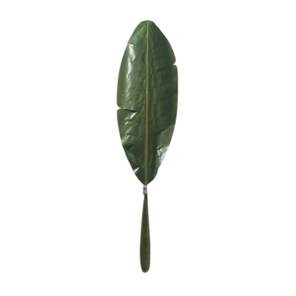 Hoja bananera 87cm