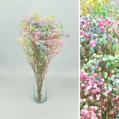 Gypsophila perfecta preservada 60cm 100gr mixta suave