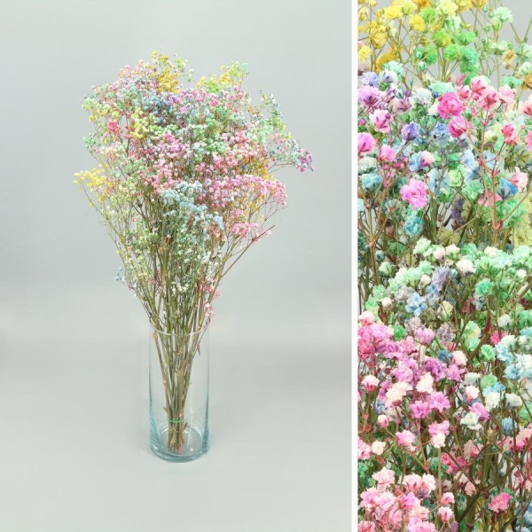 Gypsophila perfecta preservada 60cm 100gr mixta suave