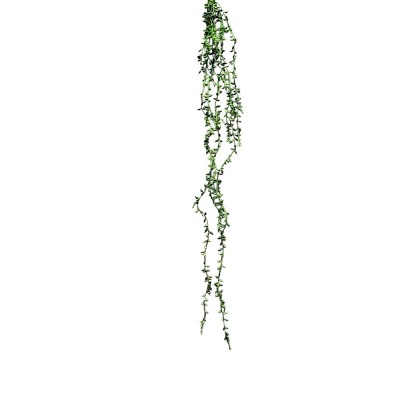 Colgante plástico rosario senecio rowleyanus 87cm verde