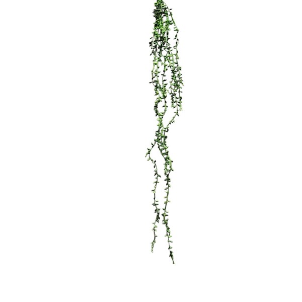 Colgante plástico rosario senecio rowleyanus 87cm verde