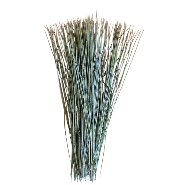 Hierba oso verde mazo suletas