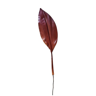Hoja aspidistra 50cm otoñal