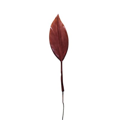 Hoja aspidistra 45cm otoñal