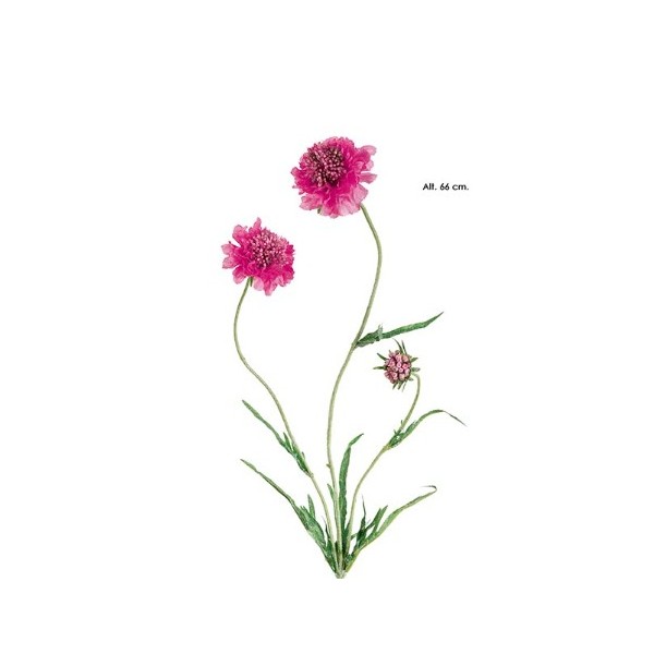 Escabiosa x 3 66cm cereza
