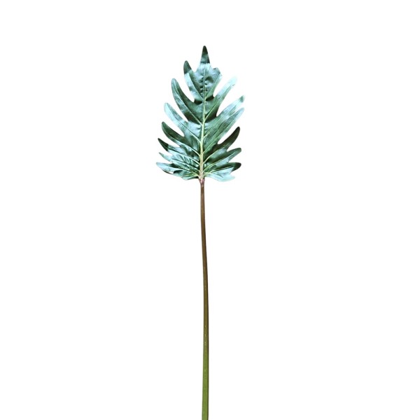 Hoja philodendro xanadu 65cm