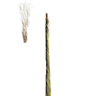 Curly willow 150cm verde -
