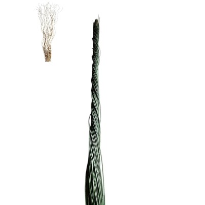 Curly willow 150cm verde