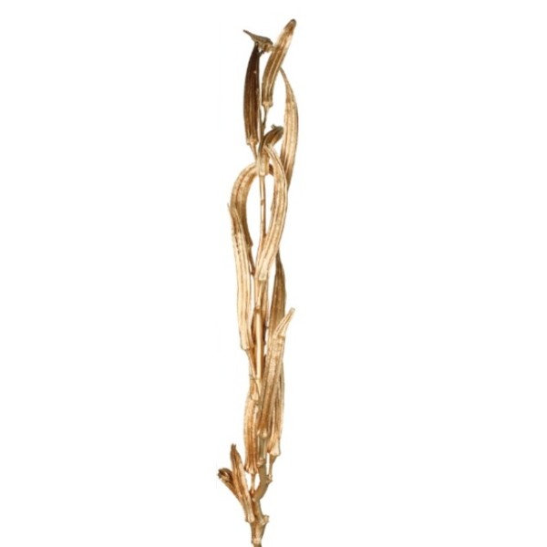 Rama Zocra 120cm dorada