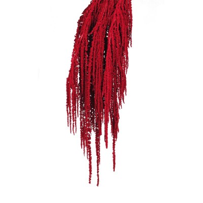Amaranthus preservado caudathus 200gr rojo