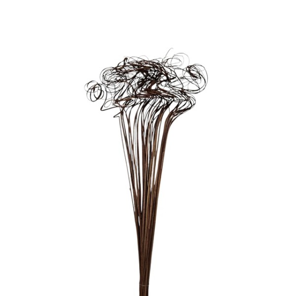 Ting rizada 75cm marrón 