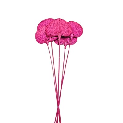 Pay pay 70cm 5pzs fucsia