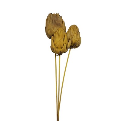 Pine apple 50cm 3pzas amarillo