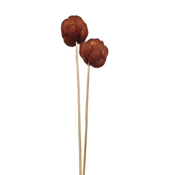 Alcachofa sisal 50cm 2pzas marrón