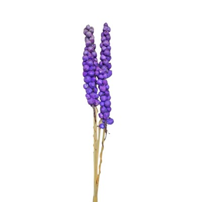 Shola berry 4 piezas 60cm morado