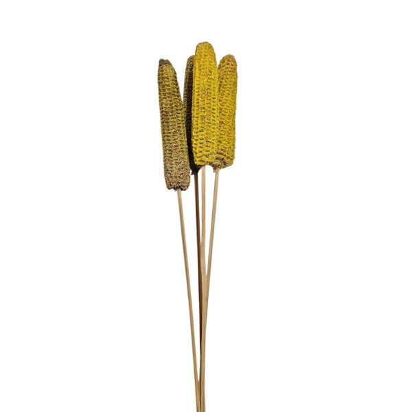 Maíz mazorca 60cm 4pzs amarillo
