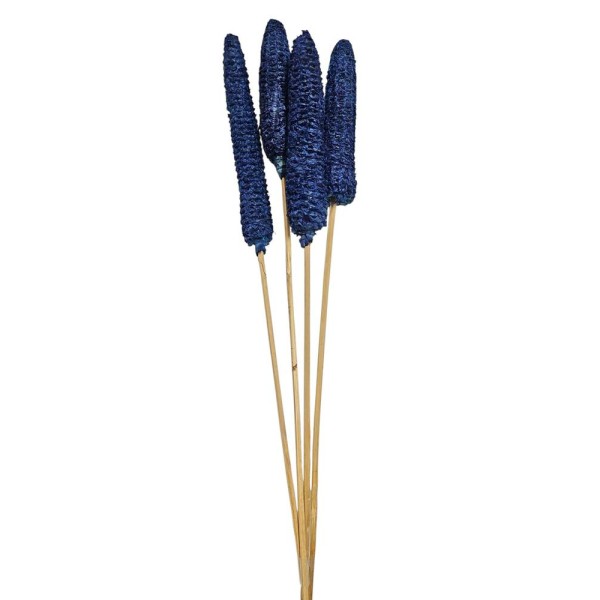 Maíz mazorca 60cm 4pzs azul